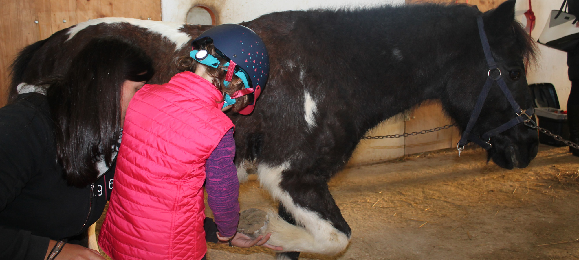 le-noci-fattoria-didattica