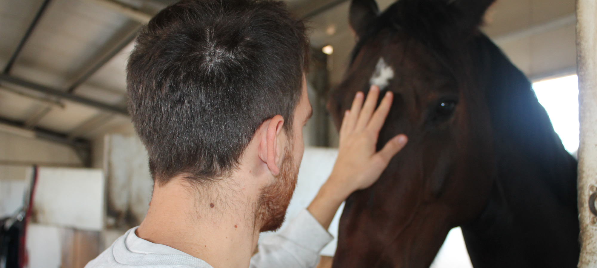 le-noci-percorsi-autonomia-cavallo